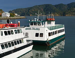 Angel Island Ferry