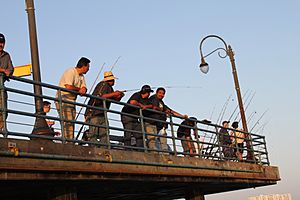 Anglers on the Santa Monica Pier