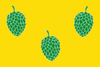 Flag of Pina de Ebro