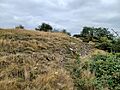 Bausley Hill Camp 09