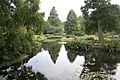Beth Chatto garden, Elmstead Market 1