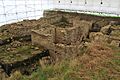 Binchester Roman vicus, March 2017 (15) (33842852465)
