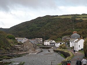 Boscastle path.JPG