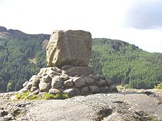 Bruce's Stone, Loch Trool - geograph.org.uk - 14804