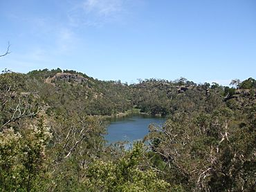 Budj Bim ‐ Mt Eccles National Park, Victoria, Australia 39.jpg