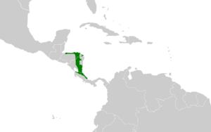 Carpodectes nitidus map.svg