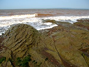 Chignecto Bay and Cape Chignecto on the Bay of Fundy at Joggins, NS - 08724
