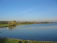 Colwick Park Lake - geograph.org.uk - 82556.jpg