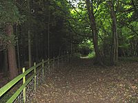 Cotswold Way, Dowdeswell Woods - geograph.org.uk - 43886