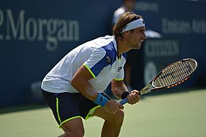 David Ferrer US Open 2013 4