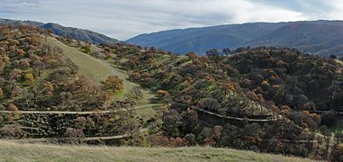 Del Valle Regional Park Ridgeline Trail