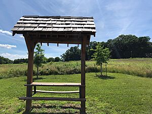 Doylestown Meadow 
