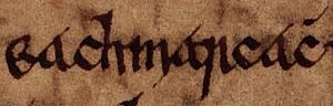 Echmarcach mac Ragnaill (Oxford Bodleian Library MS Rawlinson B 488, folio 17r)