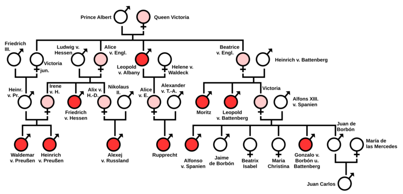 Erbgang Bluterkrankheit