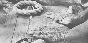 Flickr - Ion Chibzii - "Hands of mother - 2"