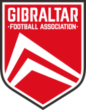 Shirt badge/Association crest