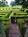 Hedge maze in Parque São Roque da Lameira 6