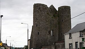 IMG DelvinCastle1779c