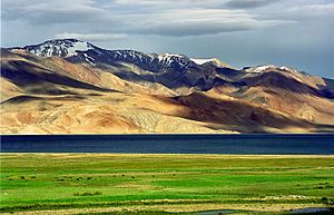 Tso Moriri, an oligotrophic lake in Ladakh