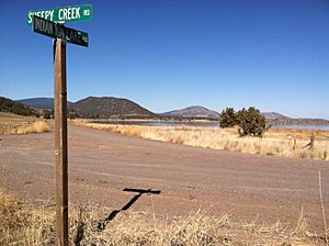 Indian Tom Lake Rd.jpeg