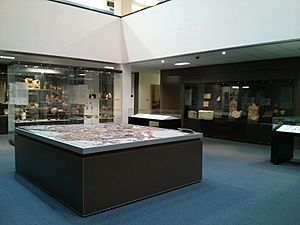Interior of the ANU Classics Museum August 2013