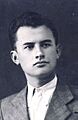 Ion Vinte