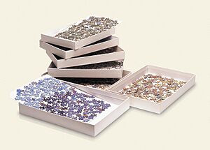 Jigsaw Puzzle Accessory Jigsafe