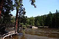 Kettle River (Columbia River)