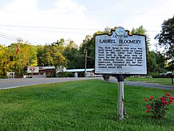 Tennessee Historical Commission marker in Laurel Bloomery