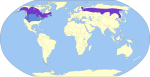 Loxia leucoptera map world.svg