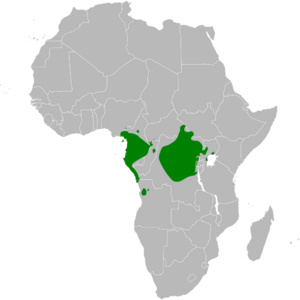 Macrosphenus flavicans distribution map.png