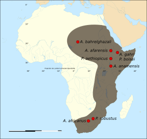 Map of the fossil sites of the early hominids (4.4-1M BP)