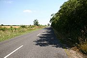 General view of Mareham Lane on a sunny day, with a dense hedgerow on the right.