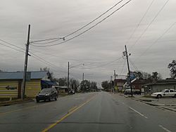 U.S. Route 17 in Maysville, March 2015