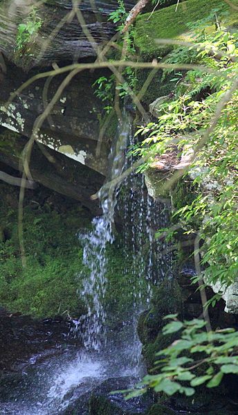 Moneypenny Falls