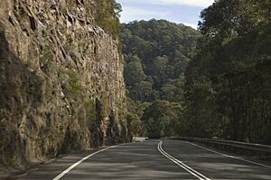 Mount Tomah NSW 2758, Australia - panoramio