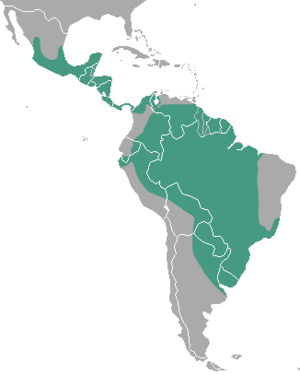 Neotropical Otter area.png