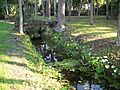 New Smyrna Turnbull canal01