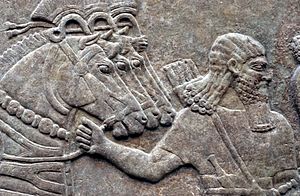 Nimrud Palace Reliefs 2