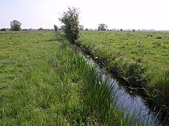 Straight narrow waterway through grassy flat fields