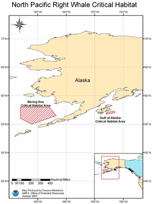 Northpacificrightwhale Critical Habitat