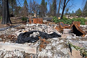 Paradise after the Camp Fire, July 2019-7428