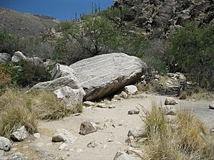 Pima Canyon Trail 1st Crossing