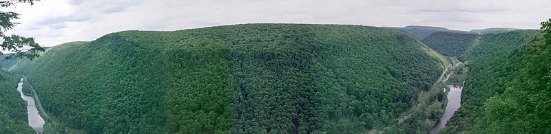Pine Creek Gorge Panorama
