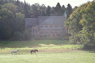 Ponies by St Margaret's Church, Aberlour - geograph.org.uk - 1504695