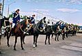 RAS NSW Mounted Police muster