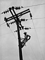 REA lineman