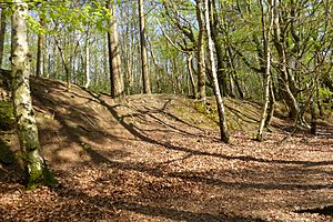 Ramparts on the Southwest of Oldbury Hillfort, Kent