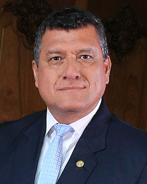 Retrato Oficial de Vicepresidente César Guillermo Castillo Reyes (cropped 3).jpg