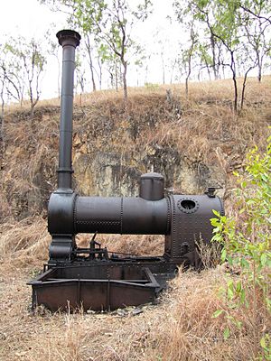 Robey undertype semi-portable steam engine (2011).jpg